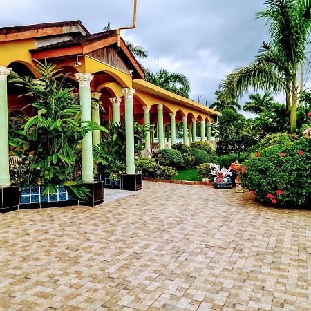 Chateau Margarita Ja Montego Bay Eksteriør billede